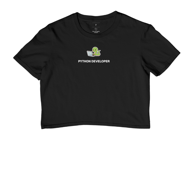 Python developer