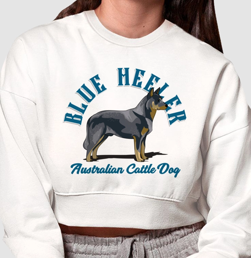 Australian Cattle Dog Blue