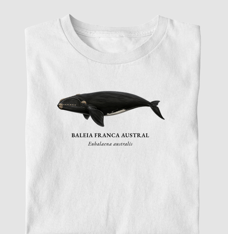 Baleia Franca Austral - Camiseta