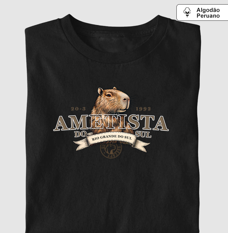 Cidade Ametista do Sul - RS