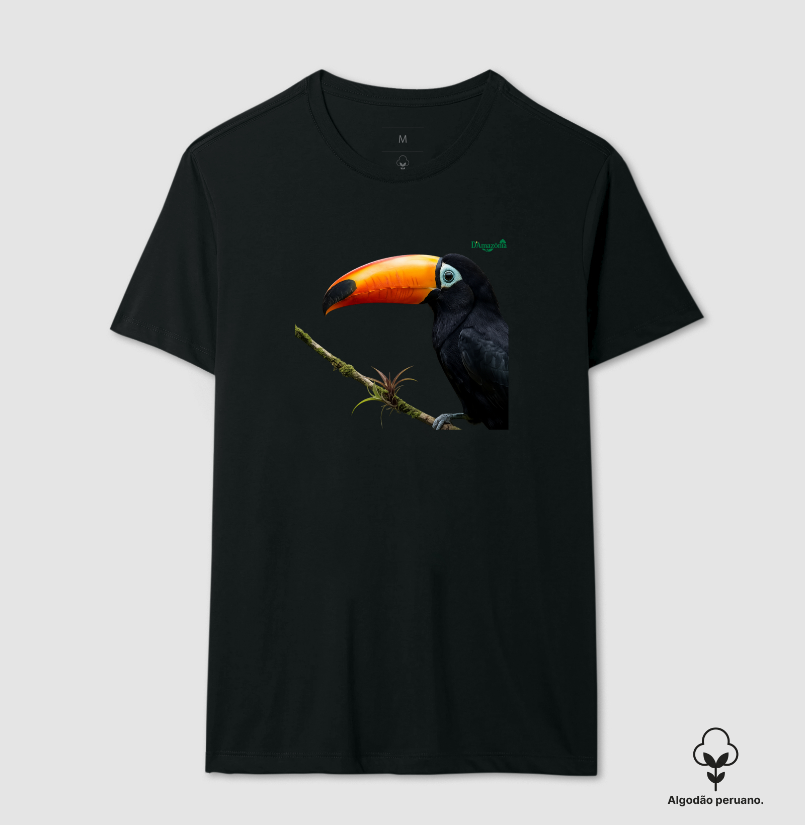 Tucano-Toco