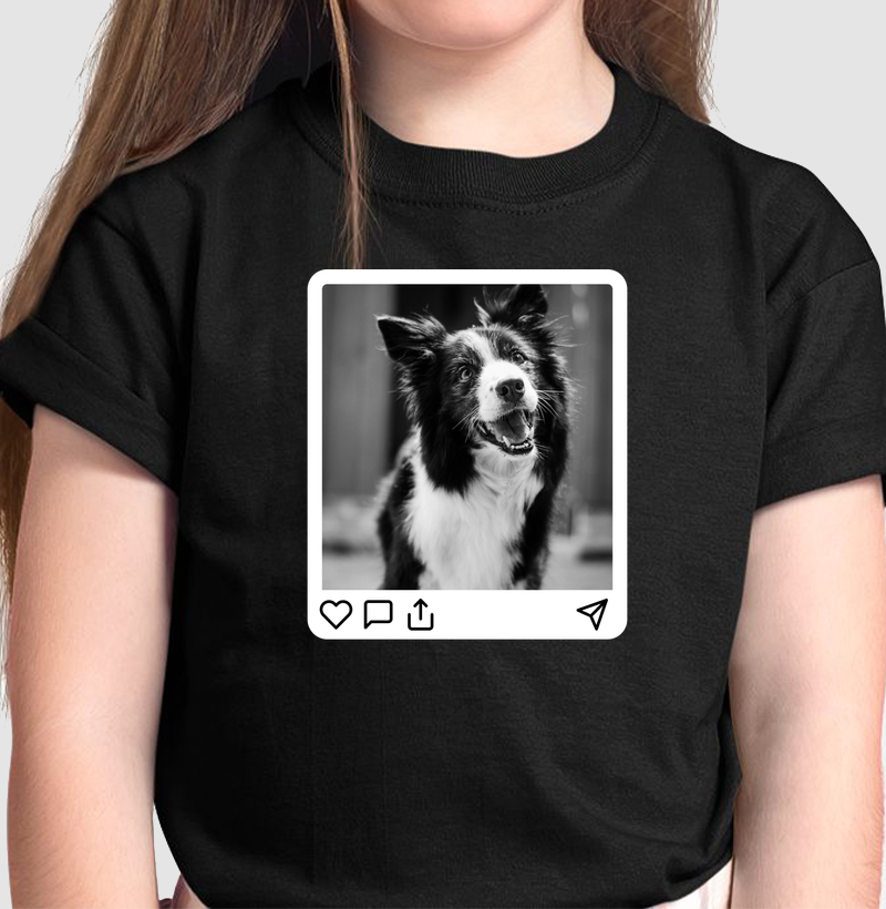 Pawfect Post