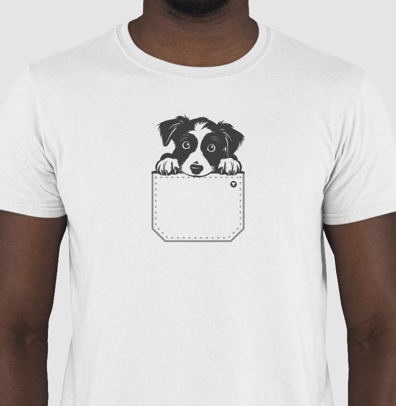 Border Collie no Bolso