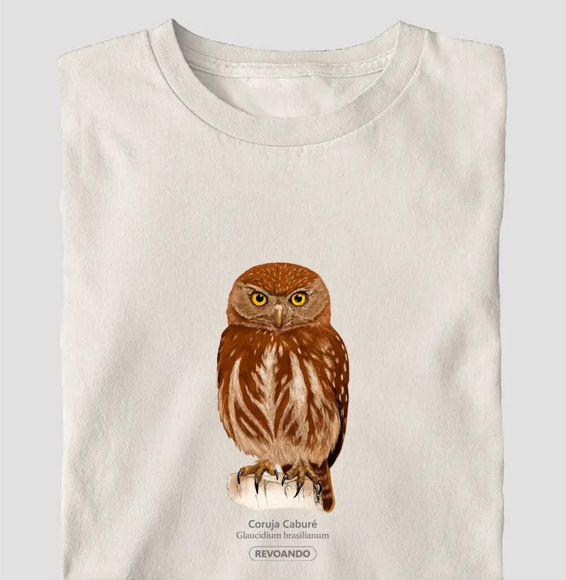 Aves do Brasil - Coruja Caburé - Oversized