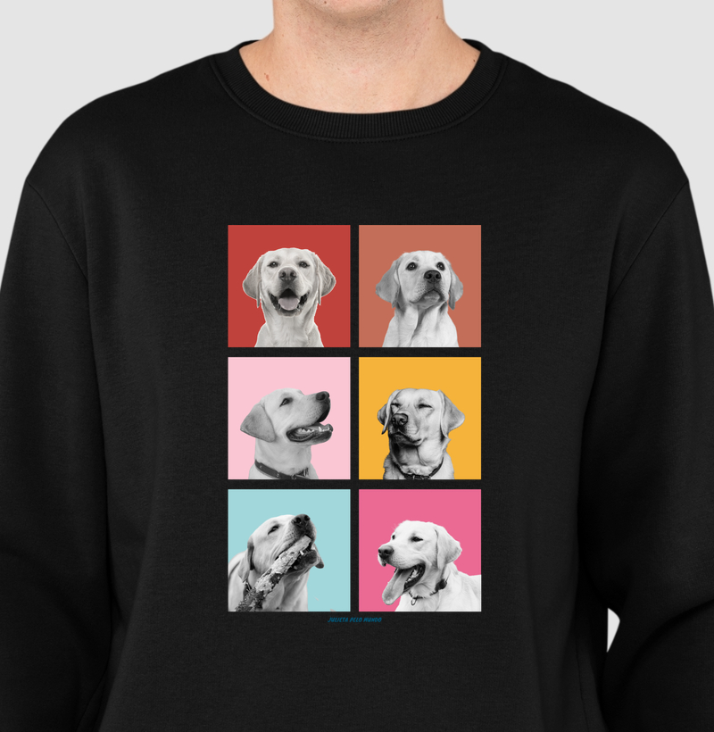 Faces Labrador