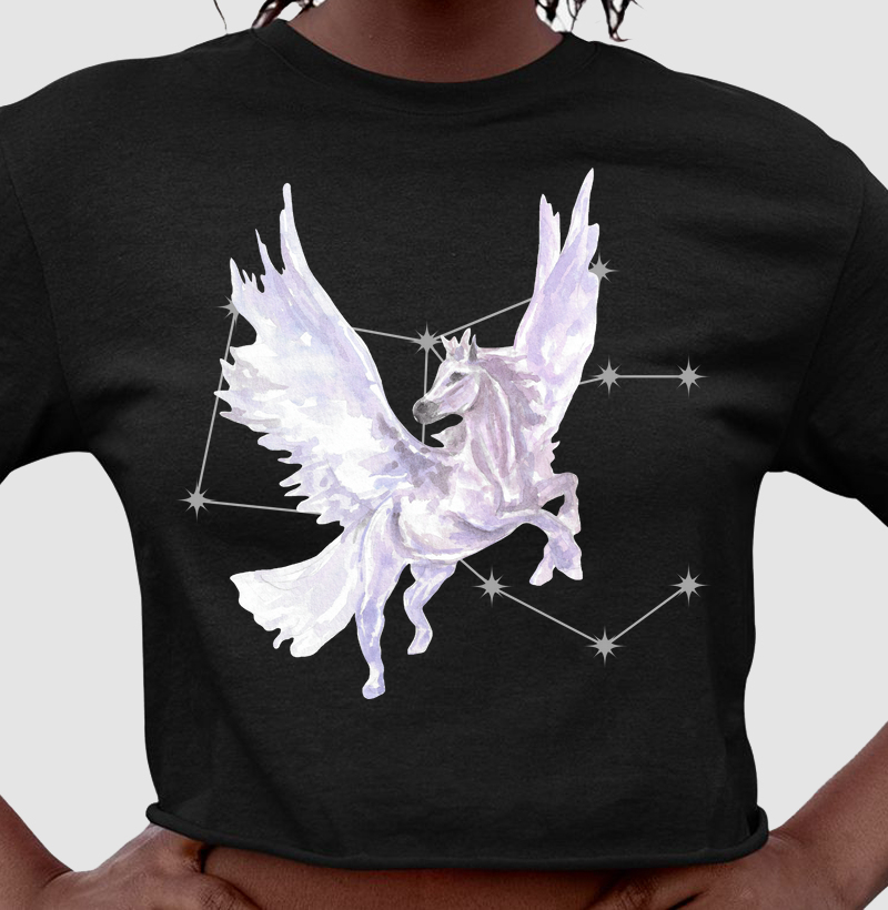 Pégaso e sua Constelação