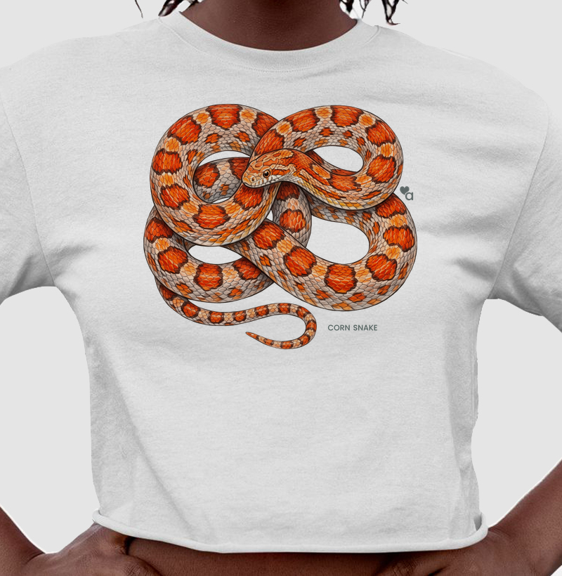 Répteis - Corn Snake - Cropped