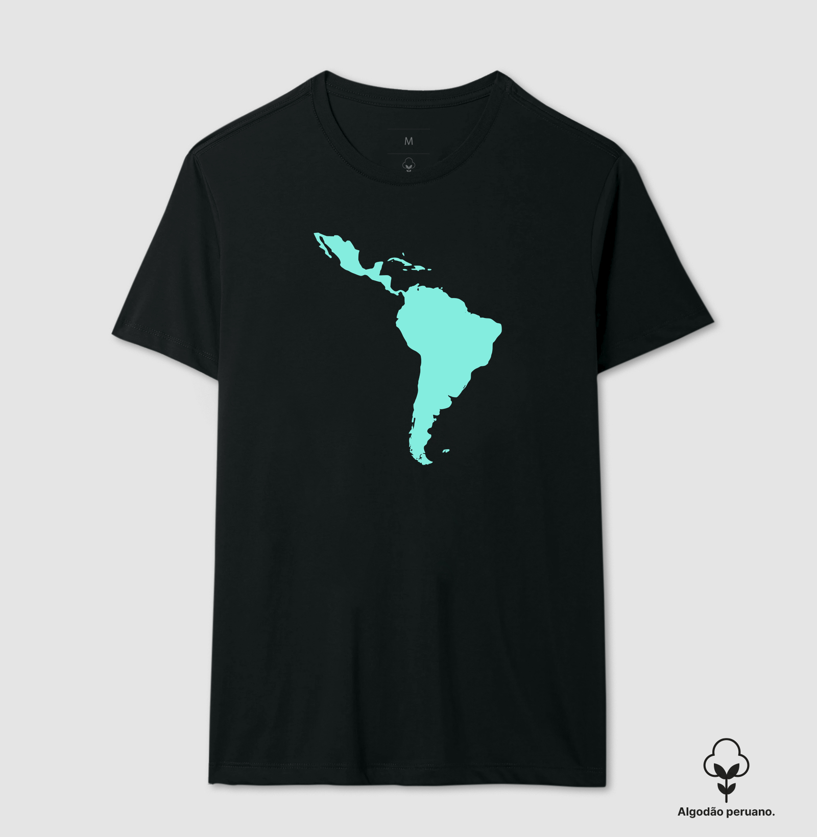 America latina & co.