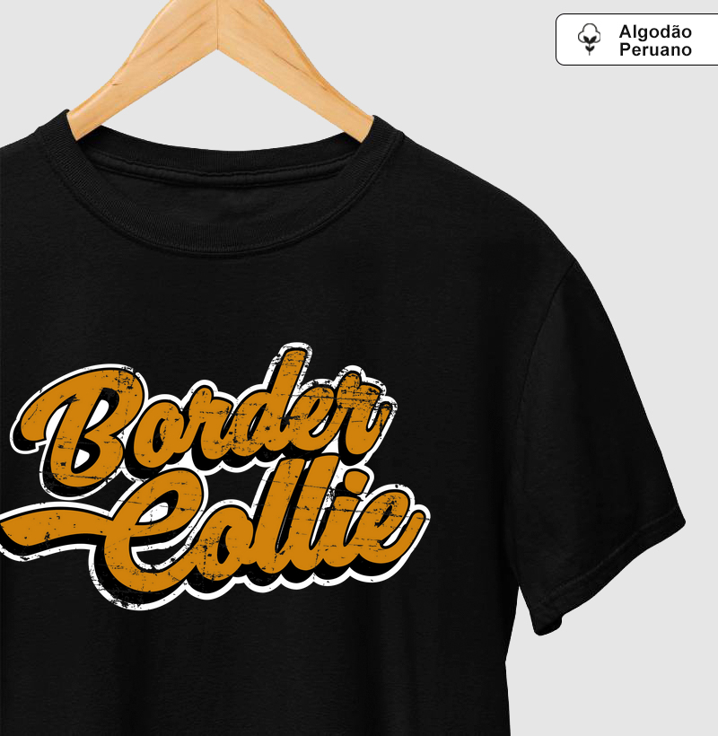 Border Collie Laranja