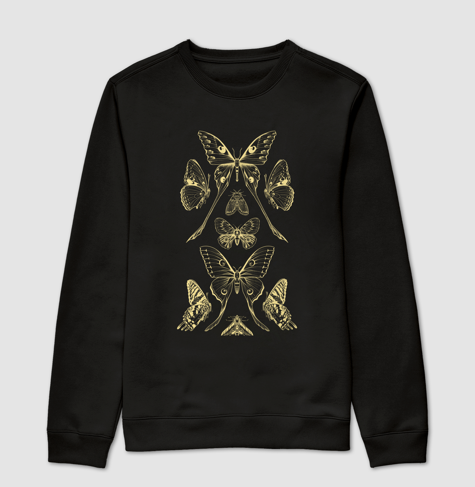 Painel de Borboletas