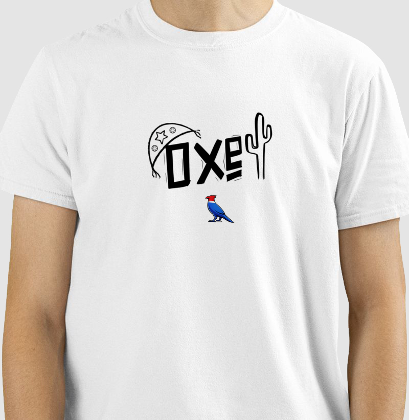  Estampa Ideal para: quem ama o Nordeste, valoriza arte autêntica e quer vestir identidade e atitude. Vista o orgulho nordestino com cor, força e liberdade.”  - Camiseta