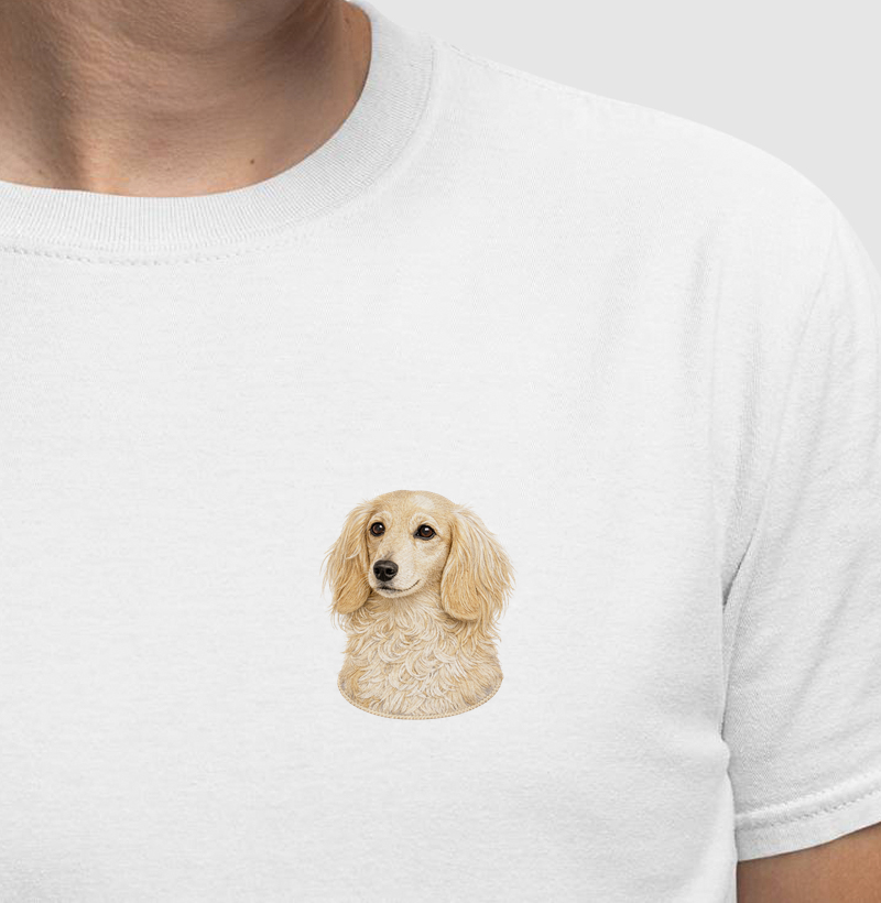 Dachshund Salsicha - Patchwork Creme