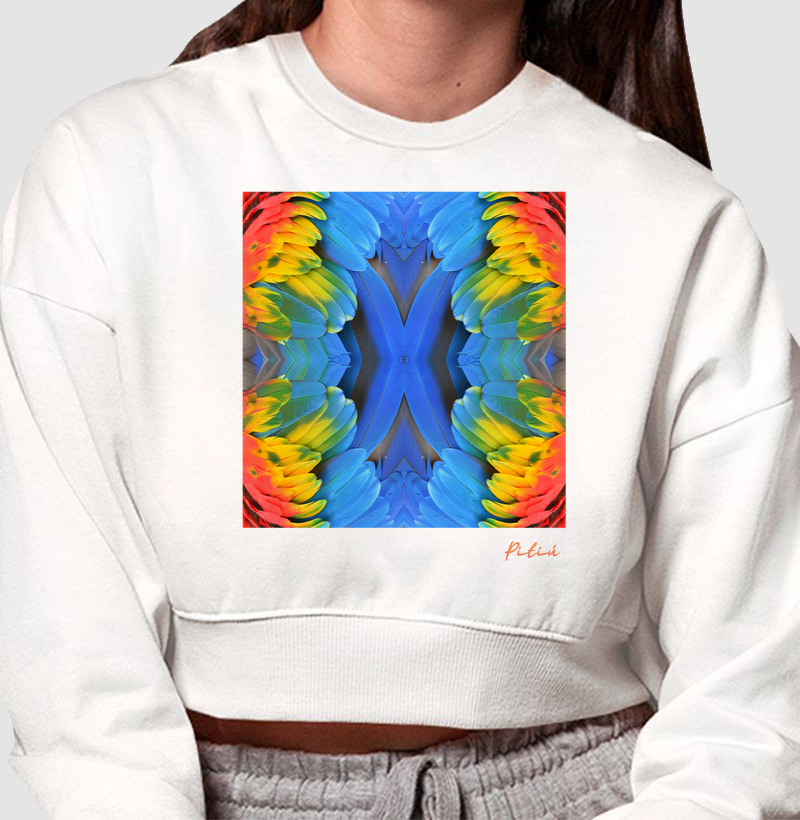 asas coloridas da arara