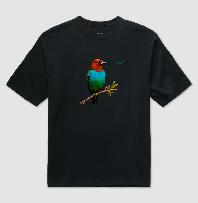 Saíra-de-Cabeça-Castanha