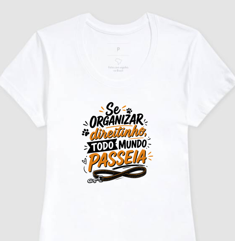 Se Organizar Direitinho, Todo Mundo Passeia