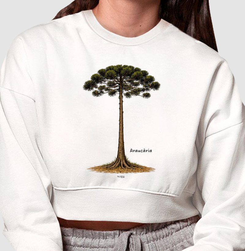 Araucária