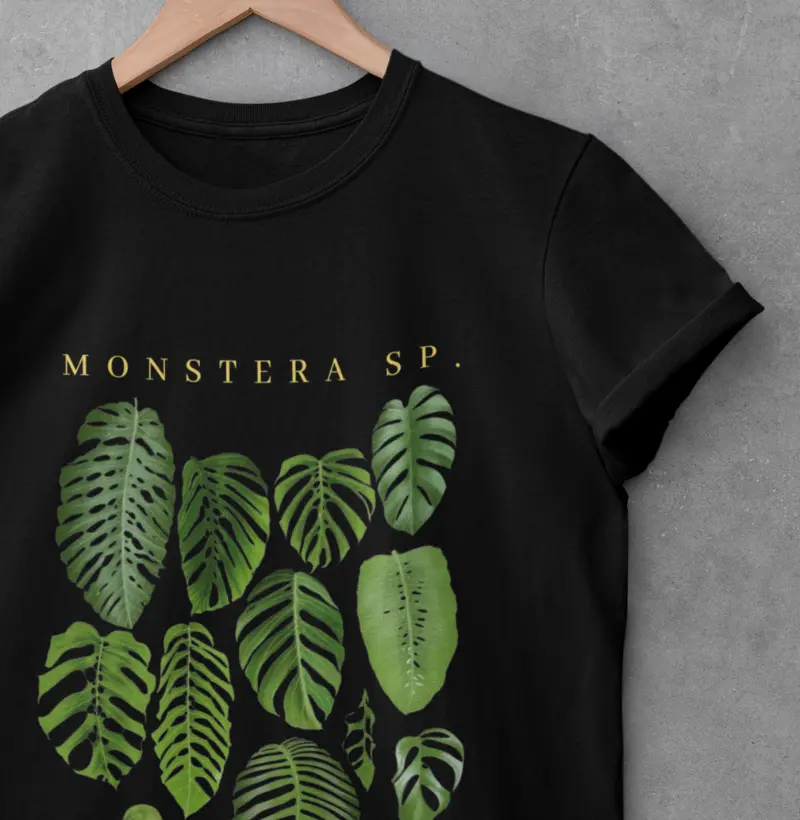 MONSTERA SP II