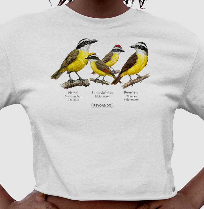 Traços Alados - Bem-te-vi, Neinei e Bentevizinhos - Cropped