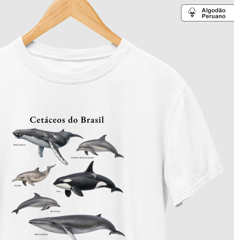 Cetáceos do Brasil