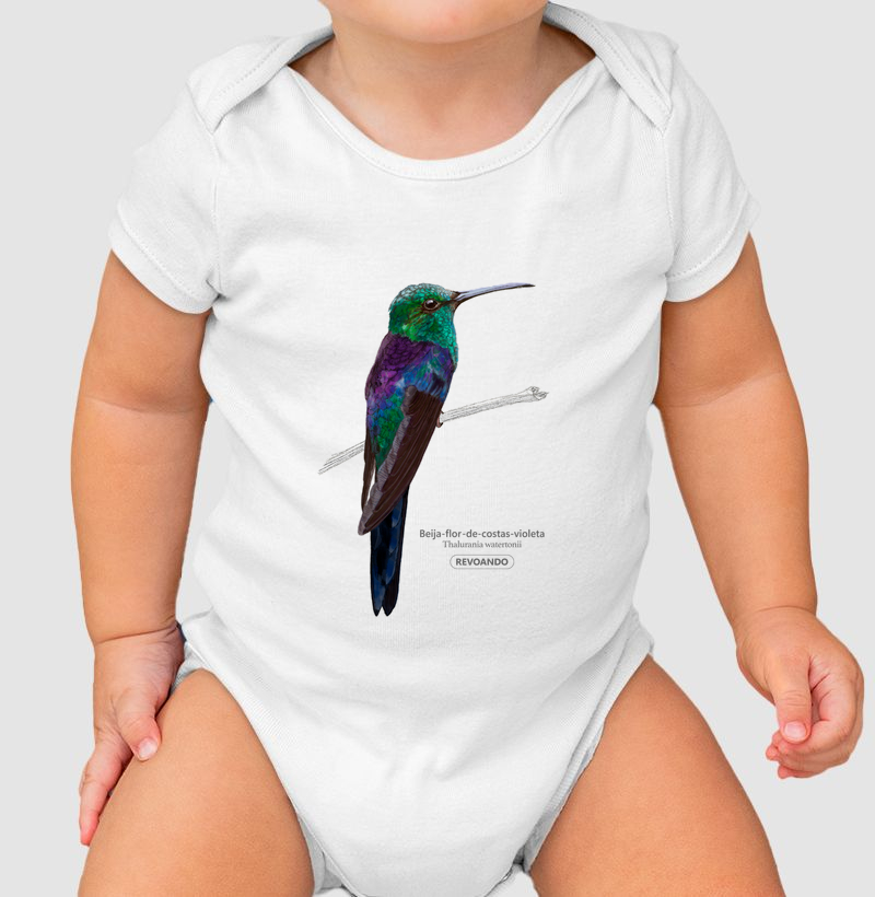 Aves do Brasil - Beija-flor-de-costas-violeta - Body Infantil