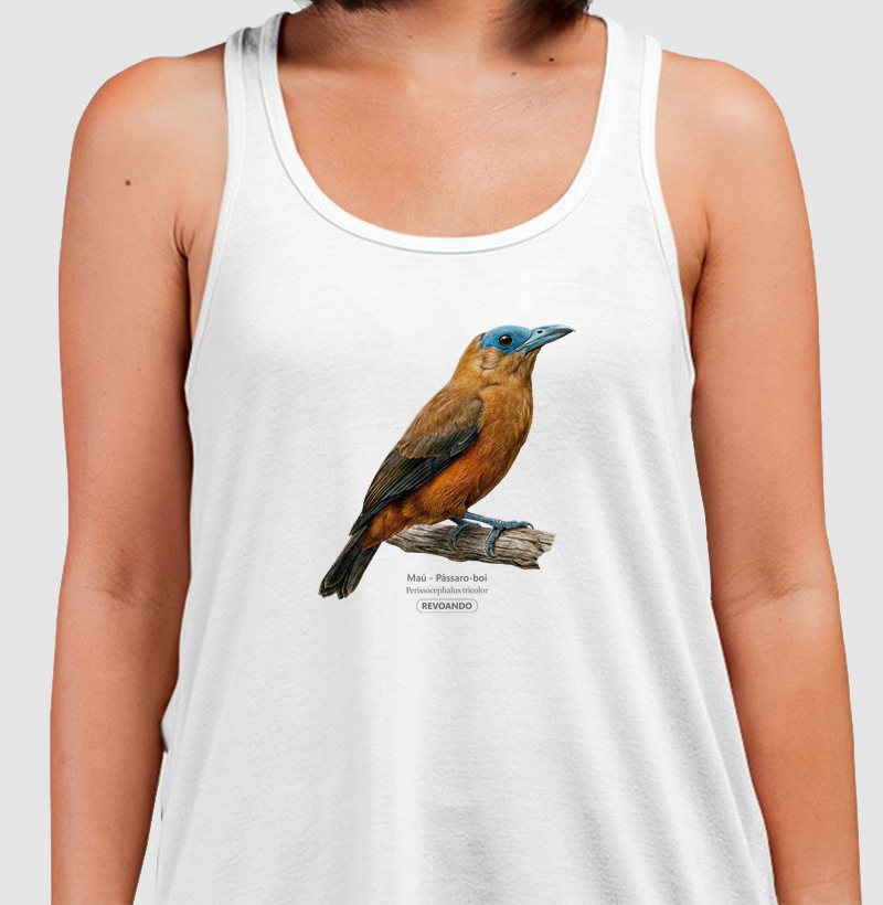 Traços Alados - Maú - Regata