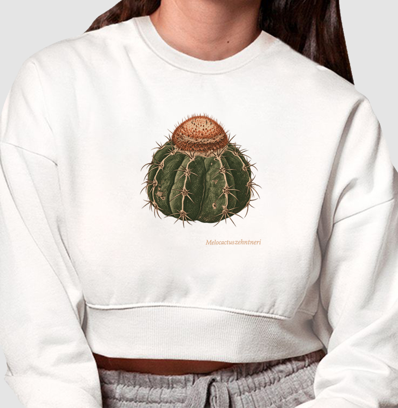 Coroa-de-frade - Cropped Moletom