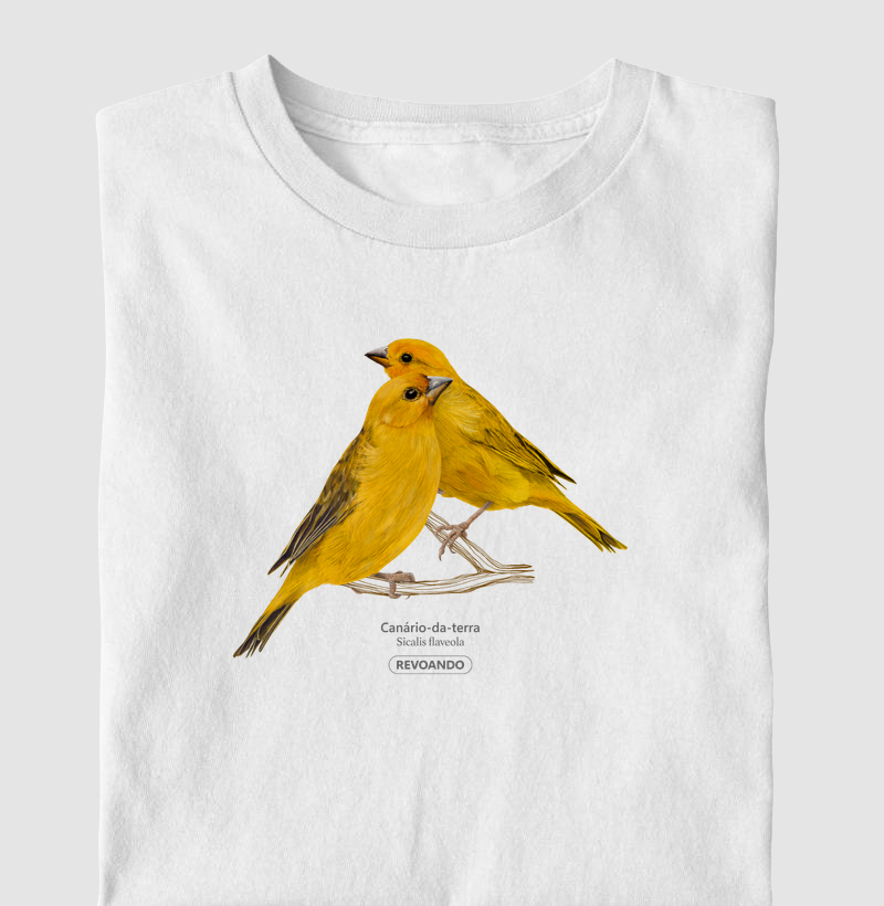 Inky Aves - Canário-da-terra II - Infantil