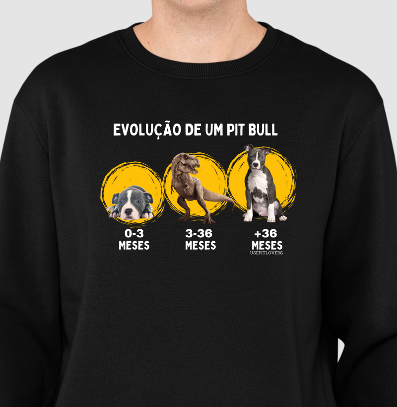 Evolução de um Pit Bull 