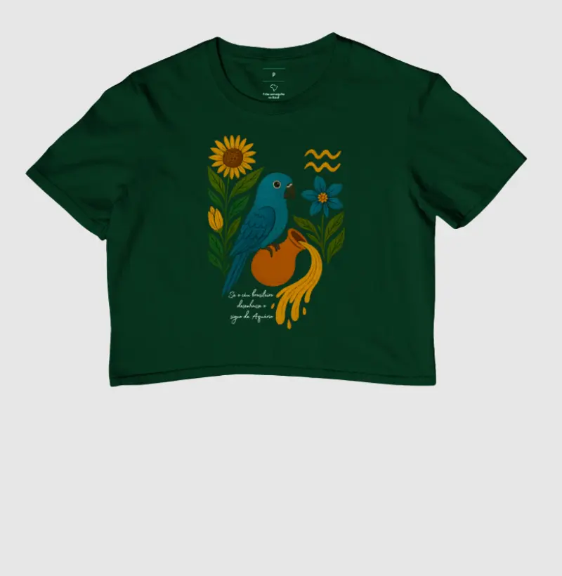 Aquário desenhado pelo céu brasileiro