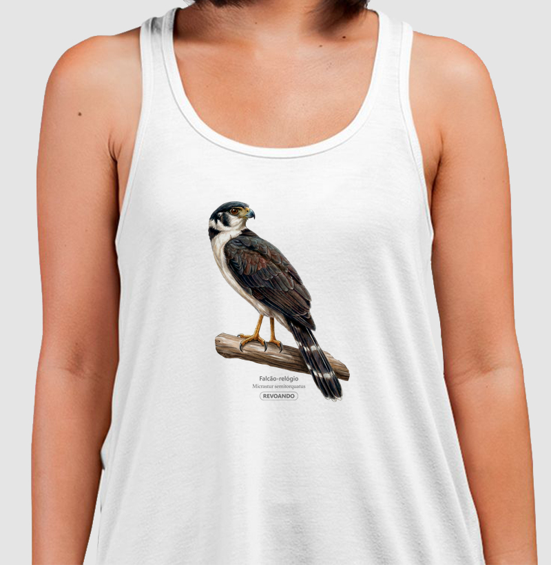 Traços Alados - Falcão-relógio - Regata