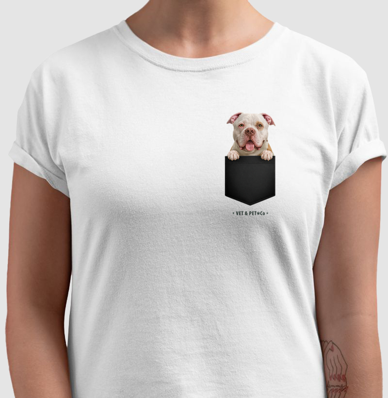 Cachorro de Bolso (American Bully)