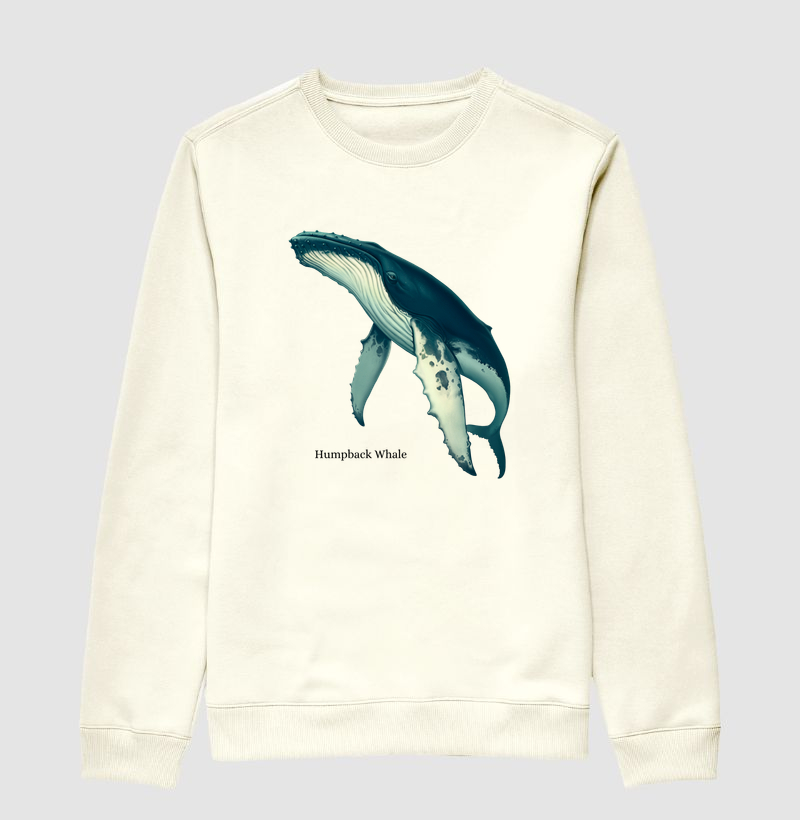 Humpback Whale