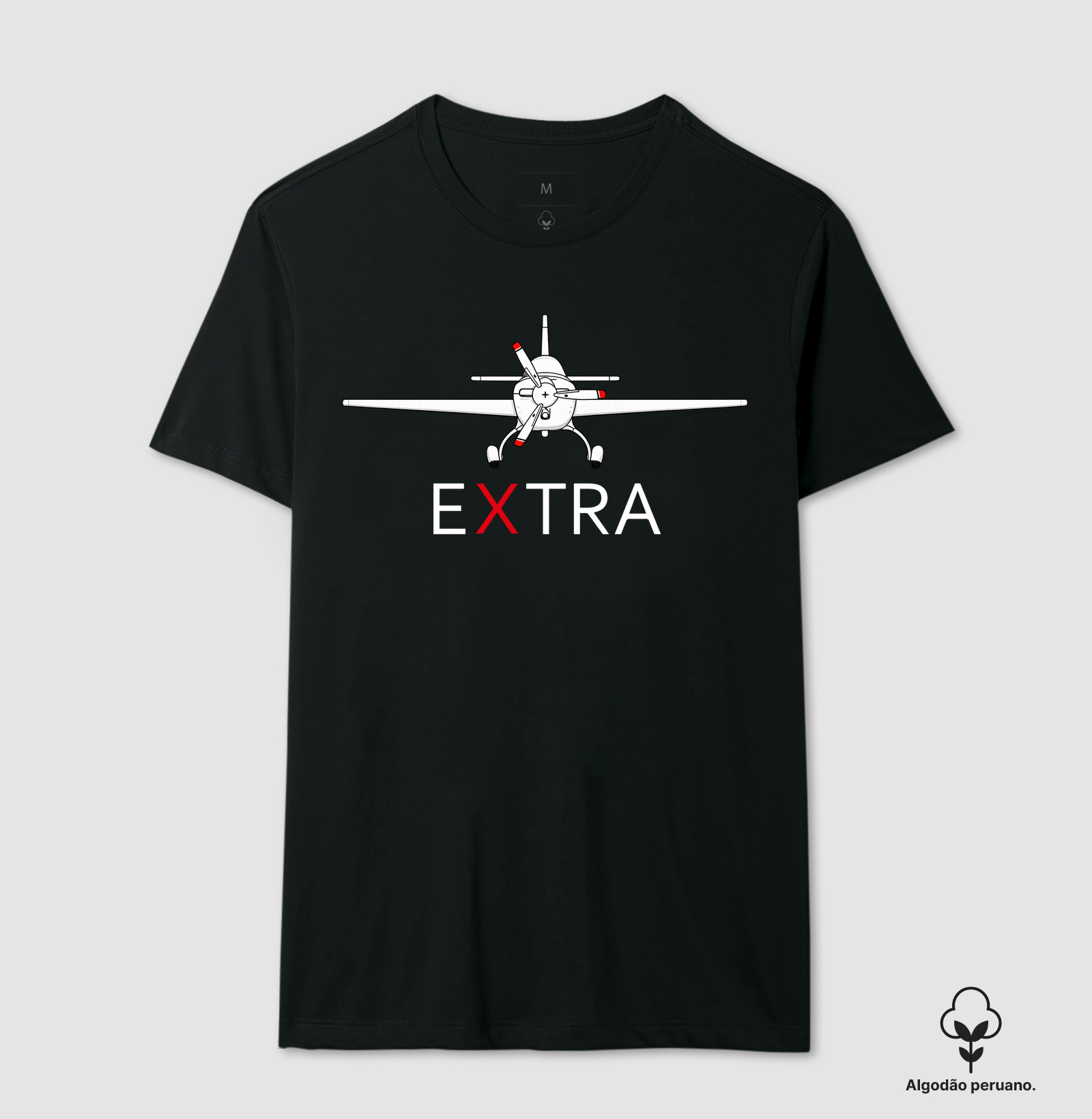 Extra 300 - front view