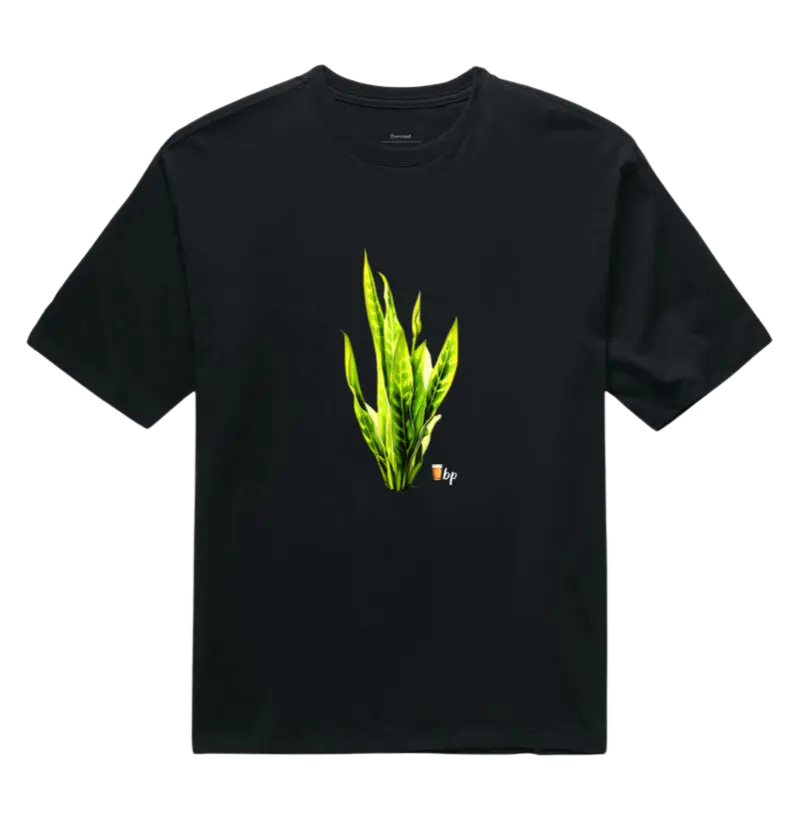 Espada de São Jorge