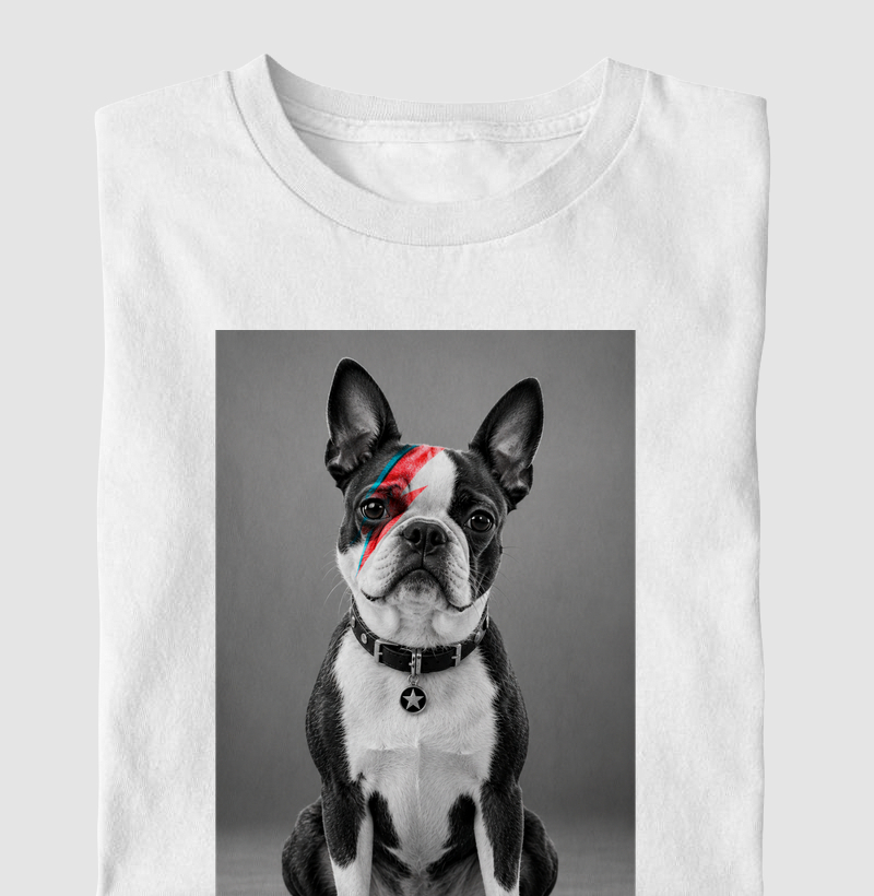 Glam Rock Boston Terrier ⚡