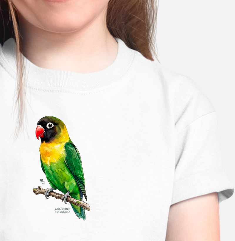 Aves - Agapornis Personata - Infantil