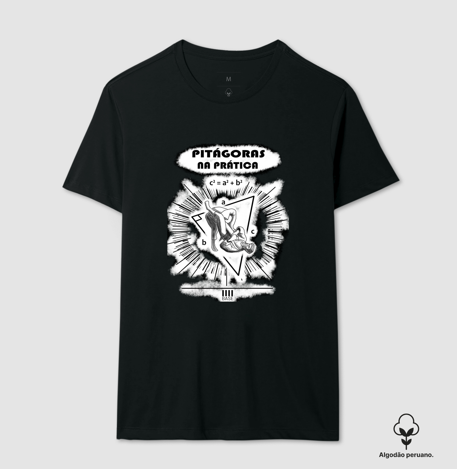 Pitágoras na prática