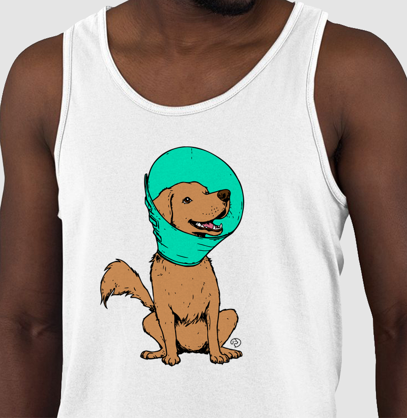 Cachorro de Cone - Regata
