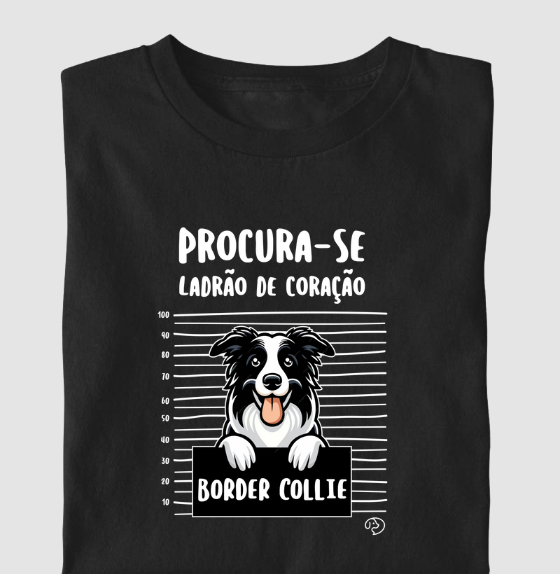 Border Collie Ladrão de Coração