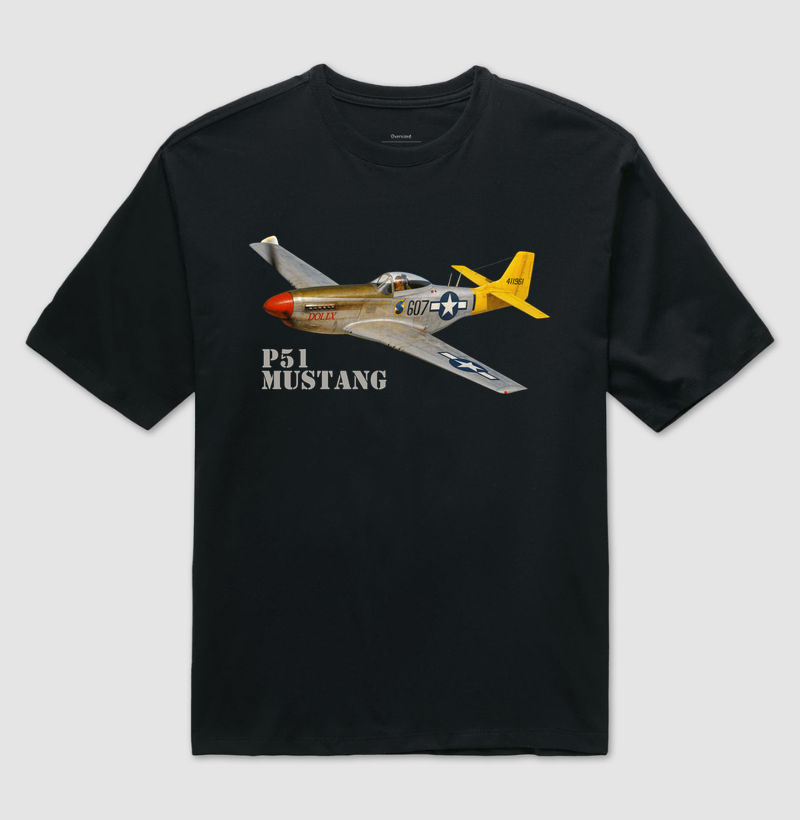 P51 Mustang