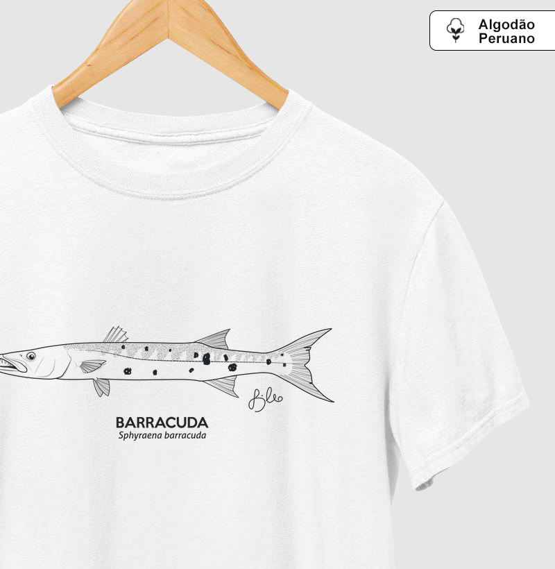 Barracuda Minimalismo