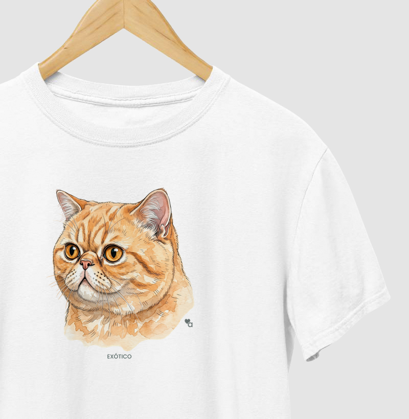 Gatos - Exótico