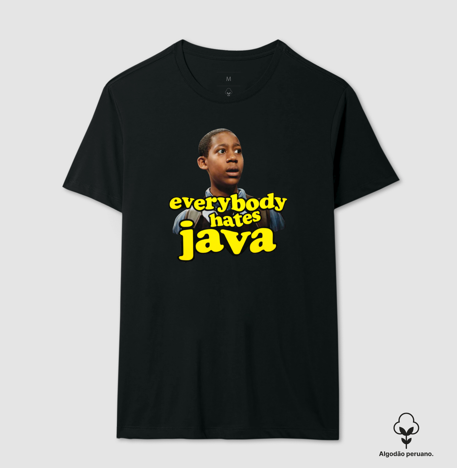 Everybody hates Java