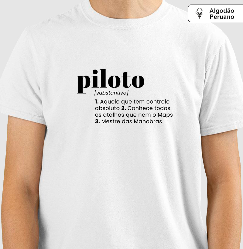 Piloto Significado