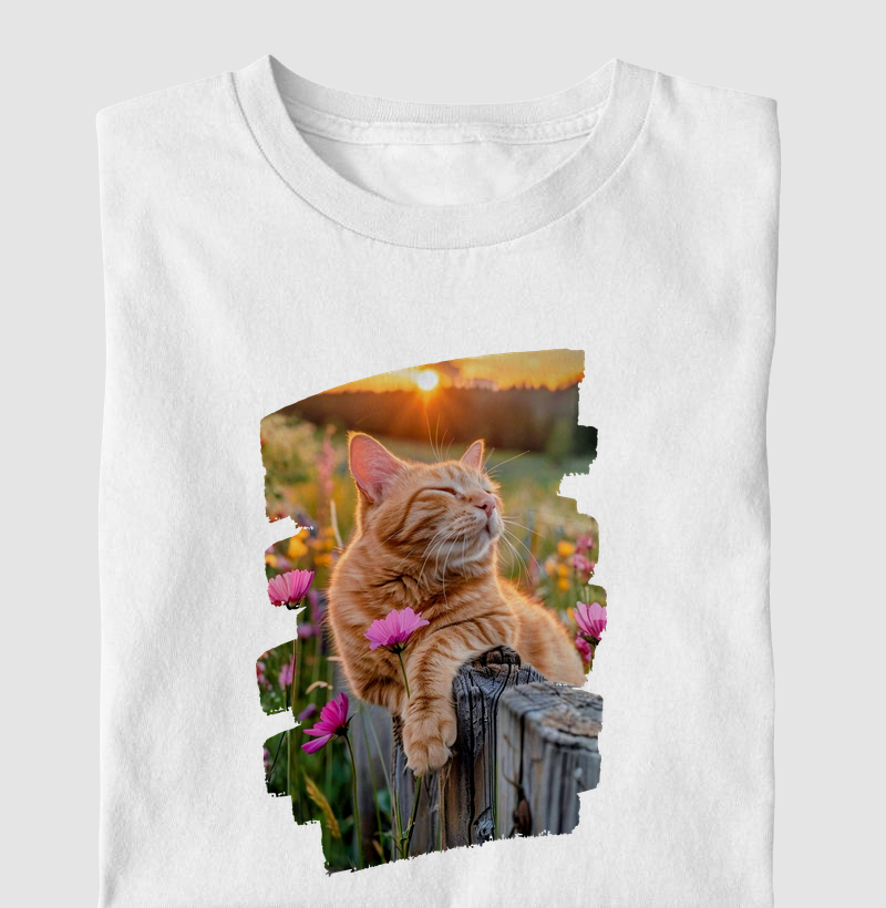 Gato Laranja no Pôr do Sol