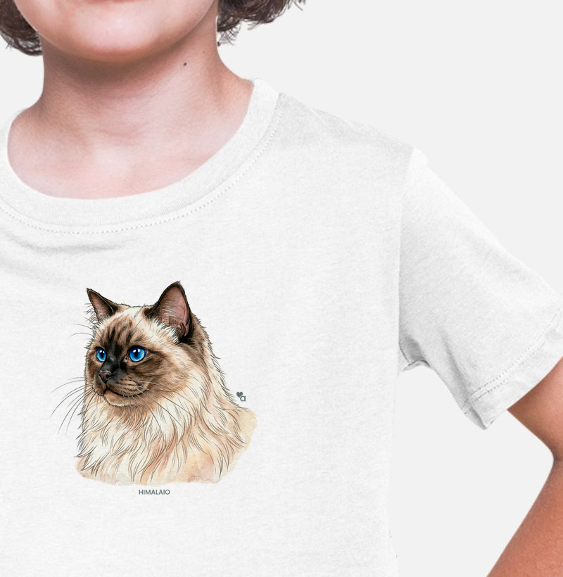 Gatos - Himalaio -Infantil