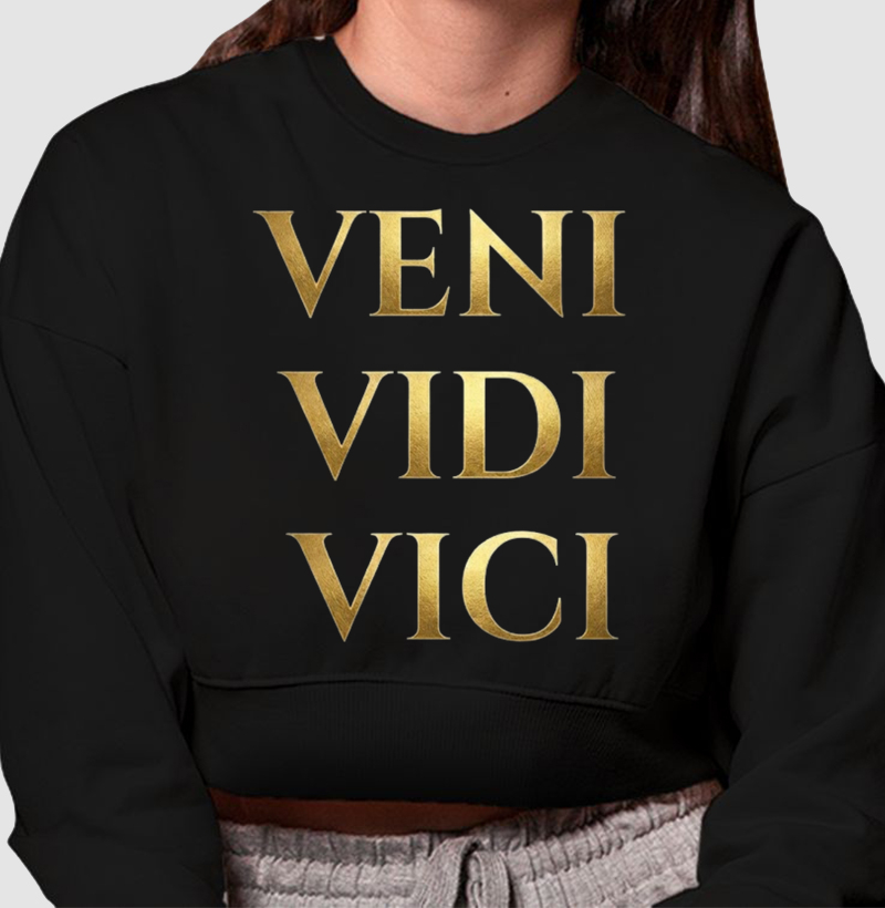 VENI VIDI VICI
