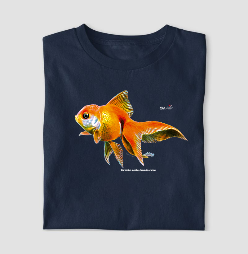 Carassius auratus (kinguio oranda)