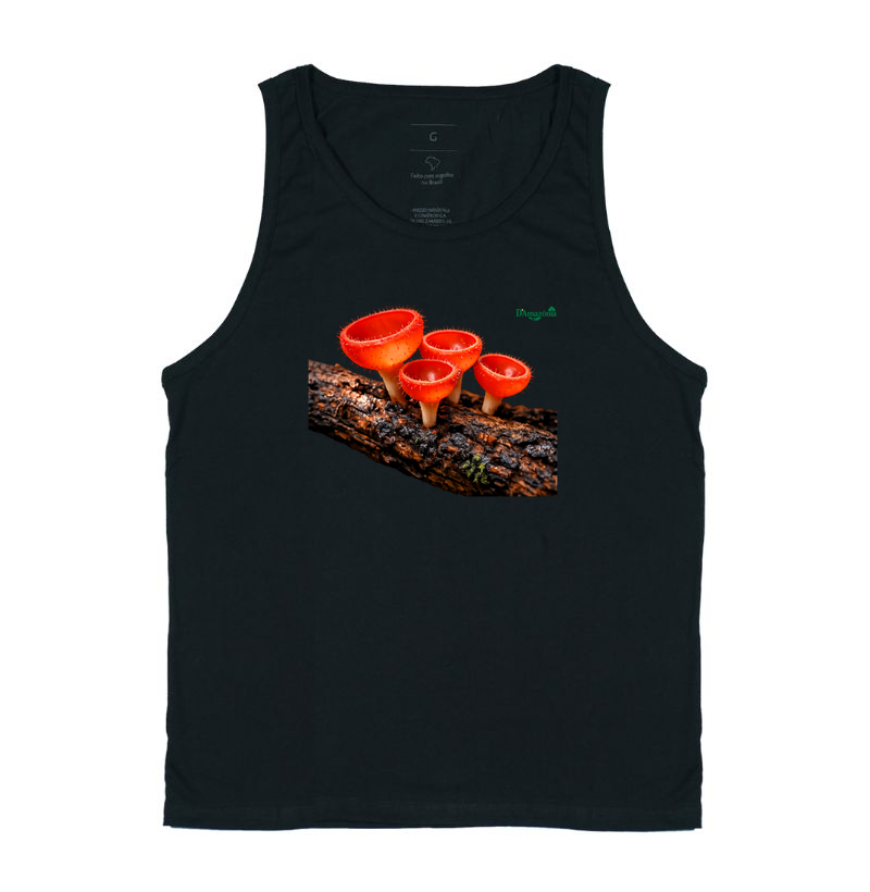 Cogumelos‑taça vermelho