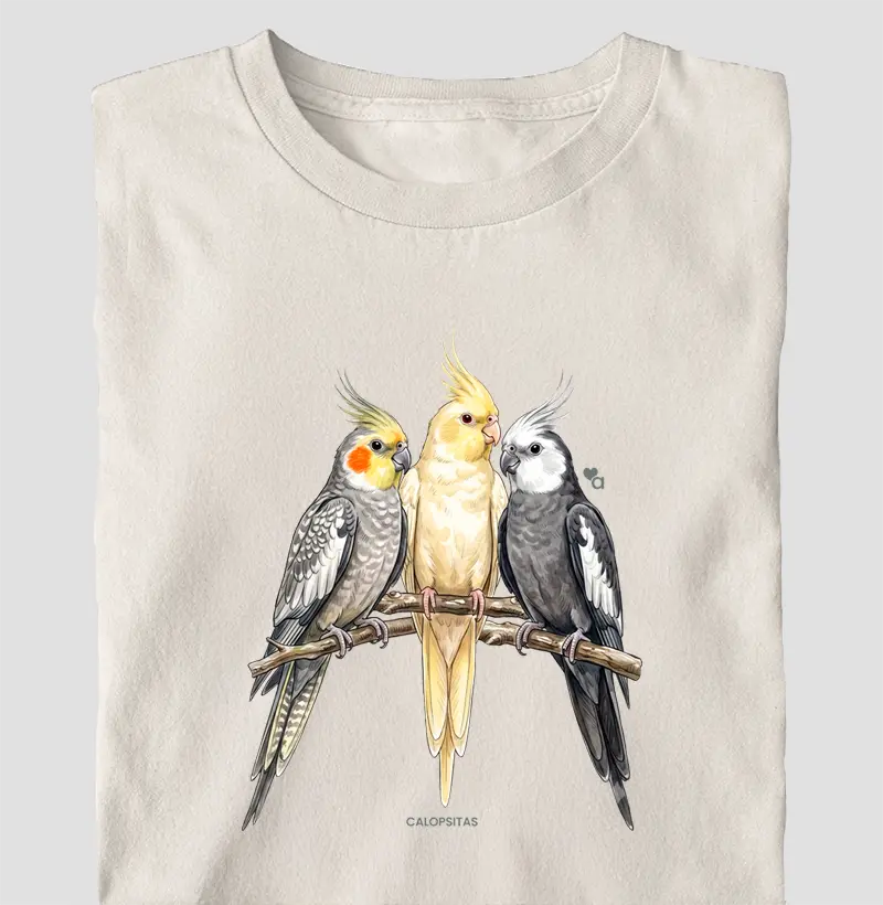 Aves - Calopsitas - Oversized